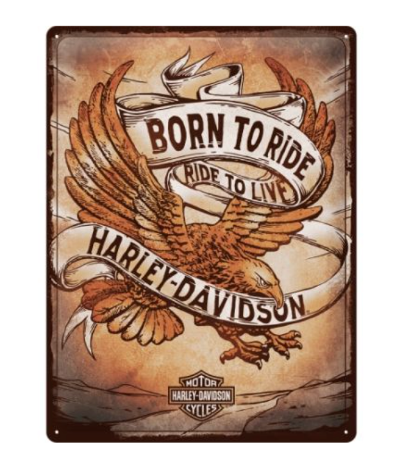 Targa Harley Davidson - Born to Ride Eagle 30x40
