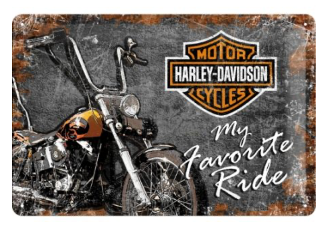Targa Harley Davidson - My Favorite Ride 20x30
